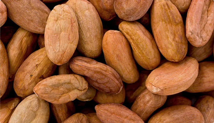 Cacao Seed Butter