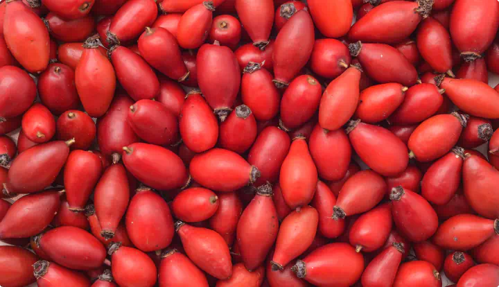 Rosa Canina (Rosehip) Seed Oil