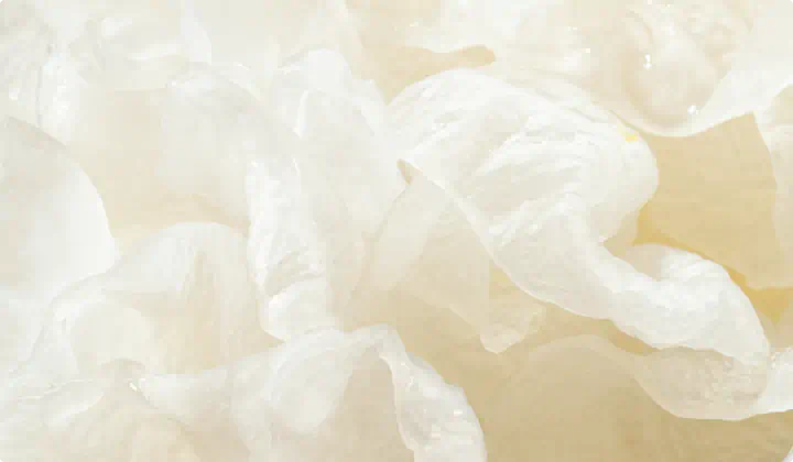 Tremella Fuciformis Extract