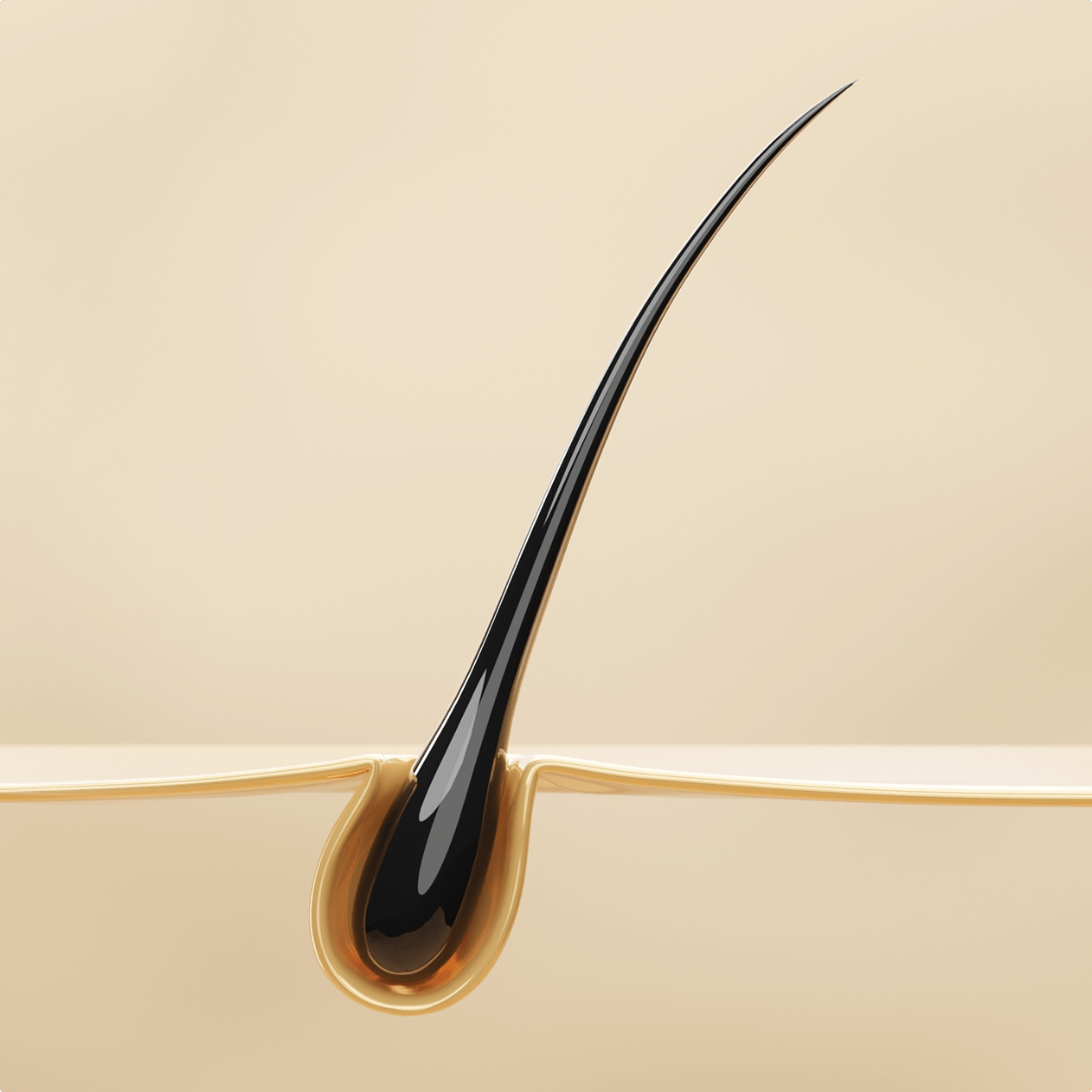 Thinning hair follicle vs healthy hair follicle