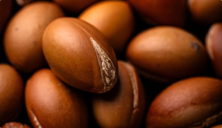 Argan Kernel Oil