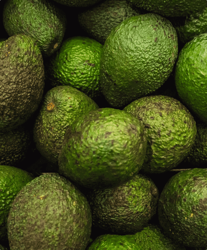 Avocado Oil