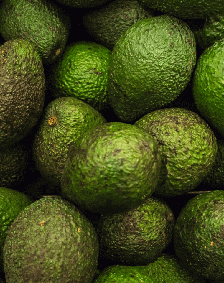Avocado Oil