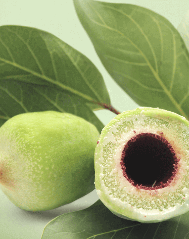 Kakadu Plum Extract